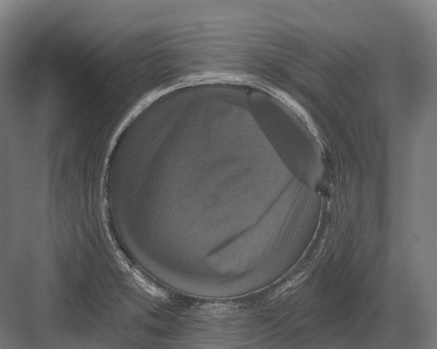 X0000082711373200702161804