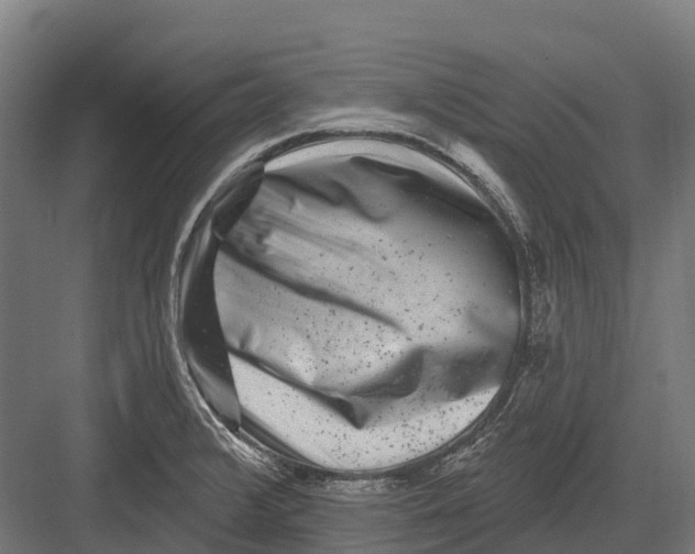 X0000082711376200702161804