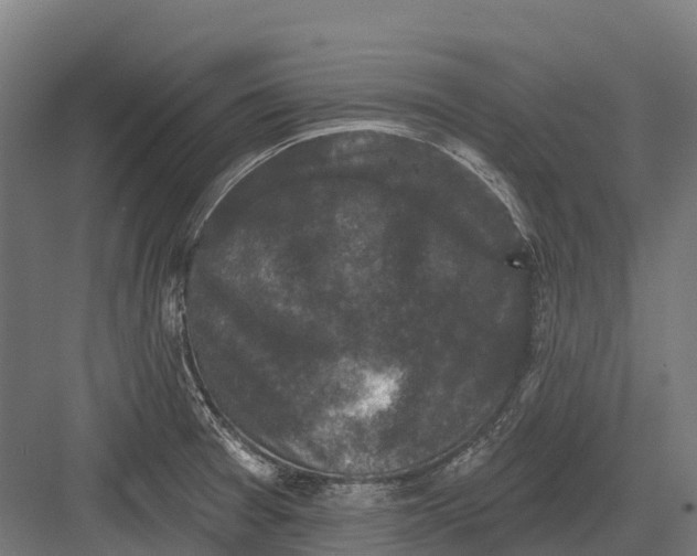 X0000082711377200702161804