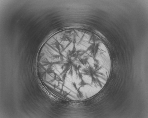 X0000082711378200702161804