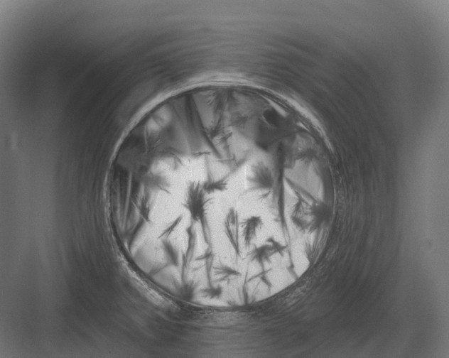 X0000082711382200702161804