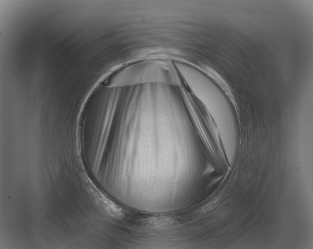 X0000082711384200702161804