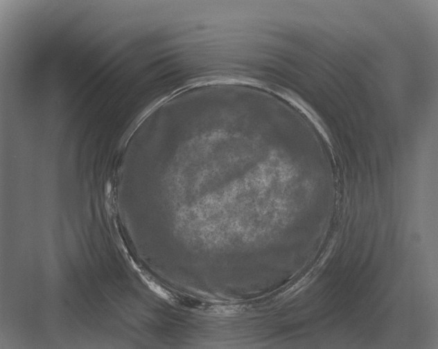 X0000082711385200702161804