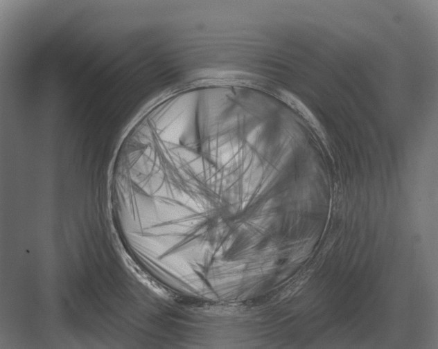 X0000082711386200702161804