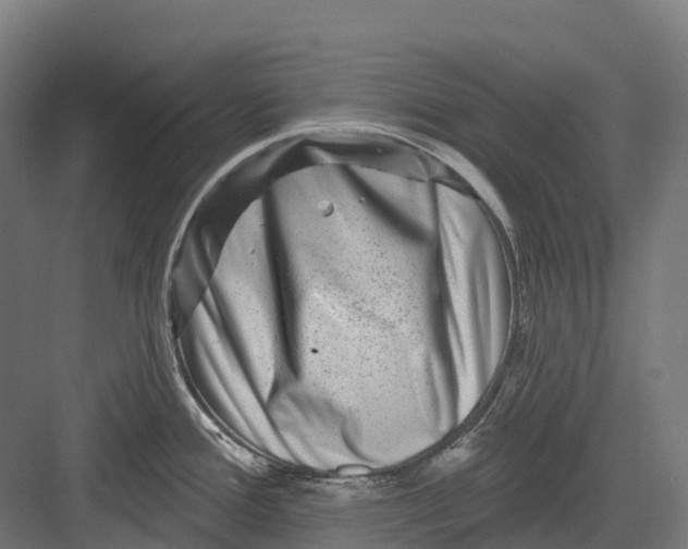 X0000082711388200702161804