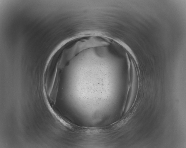 X0000082711389200702161804