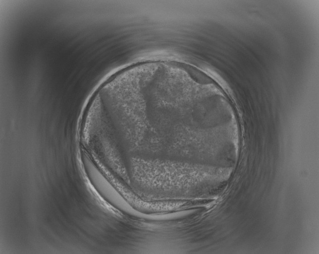 X0000082711392200702161804