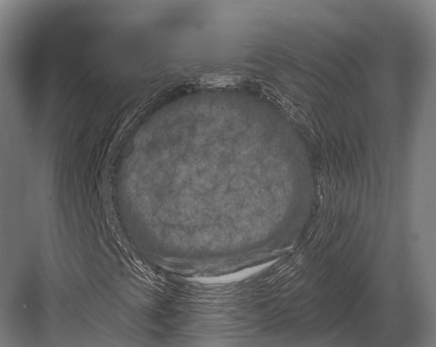 X0000082711393200702161803