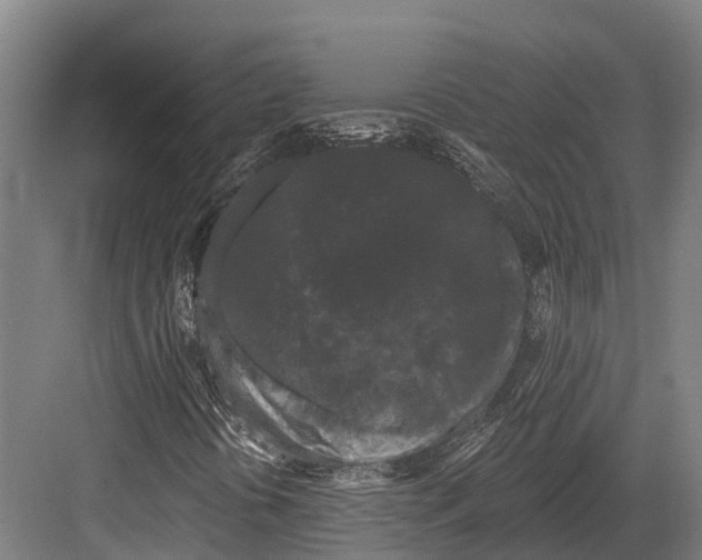 X0000082711394200702161803