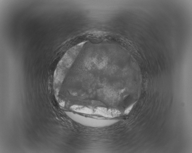 X0000082711397200702161803