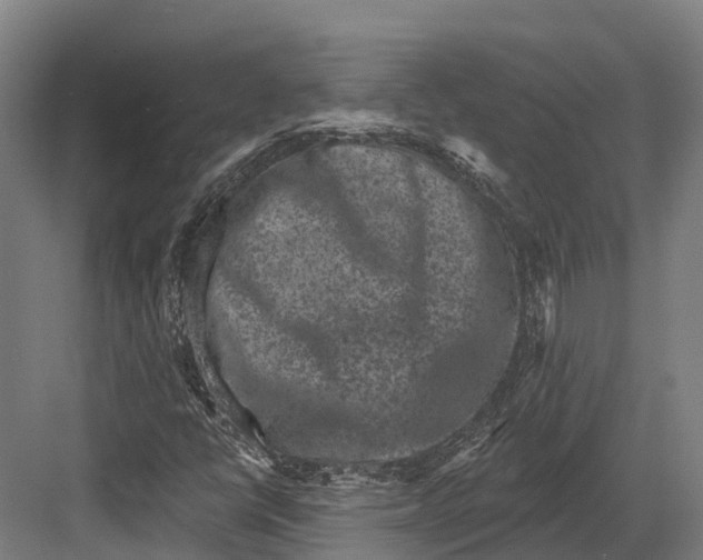 X0000082711398200702161803