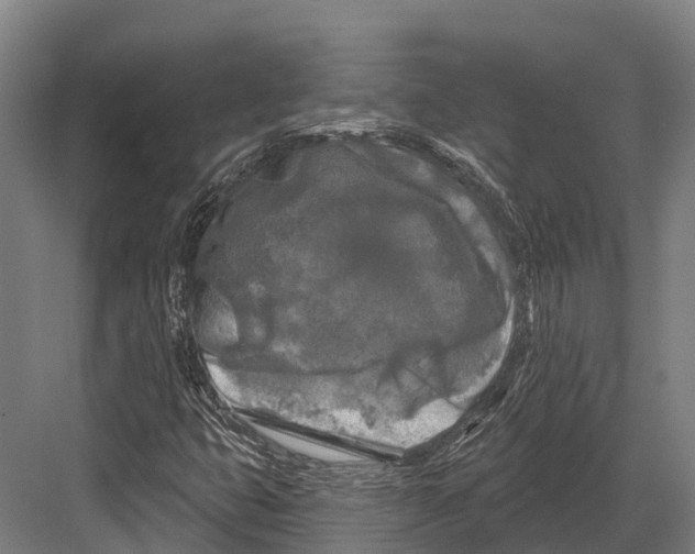 X0000082711399200702161803