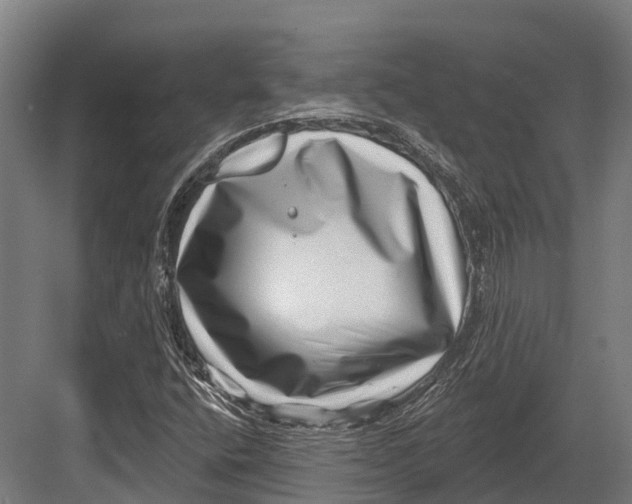 X0000082711400200702161803