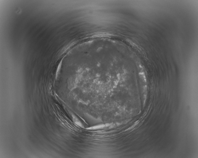 X0000082711401200702161803