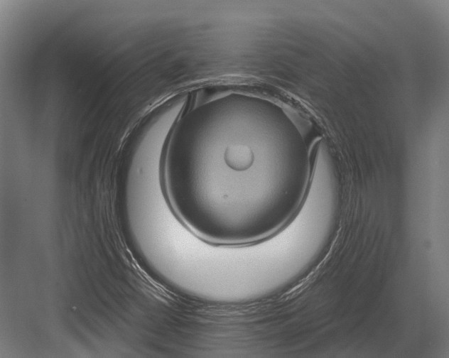 X0000082711402200702161803