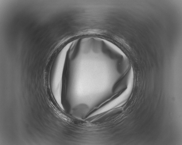 X0000082711404200702161803