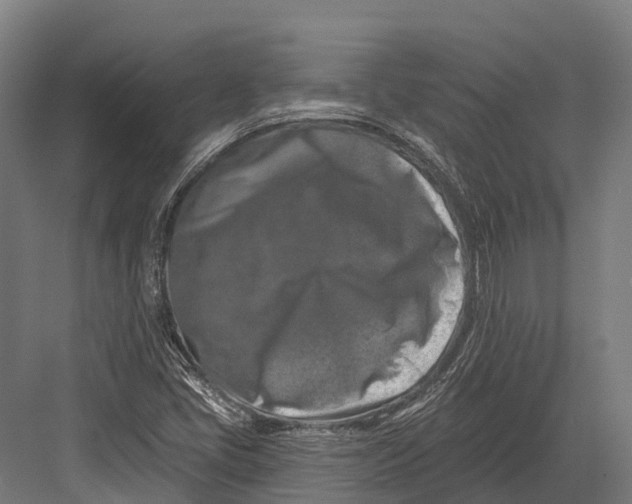 X0000082711405200702161803