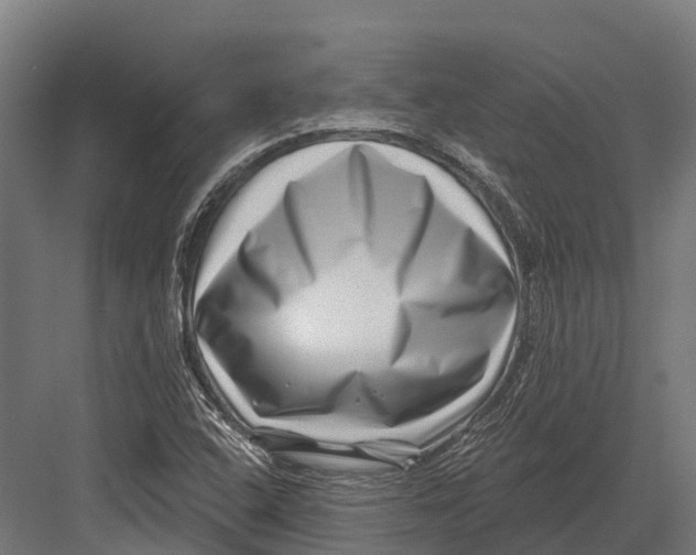 X0000082711408200702161804