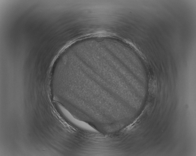 X0000082711410200702161804