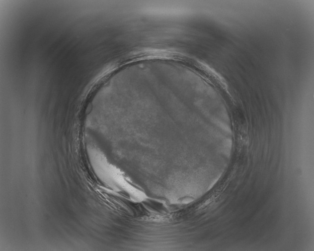 X0000082711411200702161804