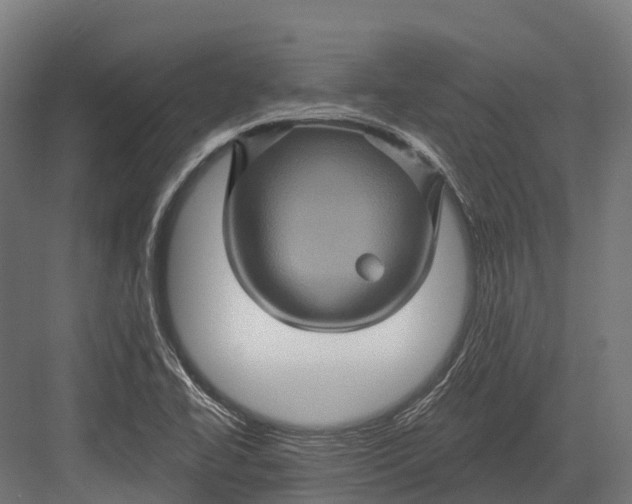 X0000082711414200702161804