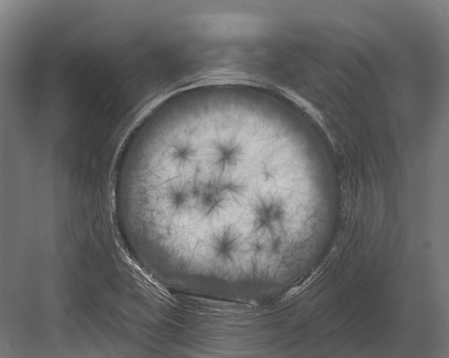 X0000082711415200702161804