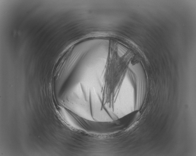 X0000082711417200702161804