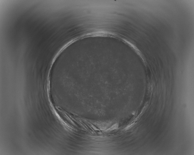 X0000082711418200702161804