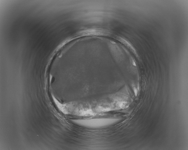 X0000082711419200702161804