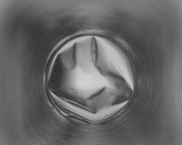 X0000082711420200702161804