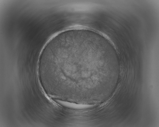 X0000082711421200702161804