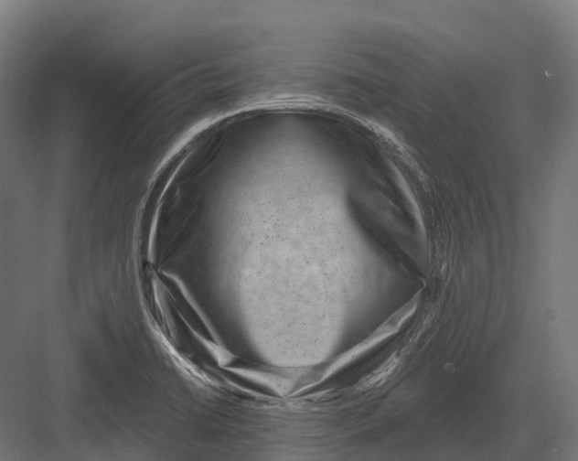 X0000082711422200702161804