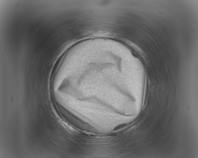 X0000082711423200702161804