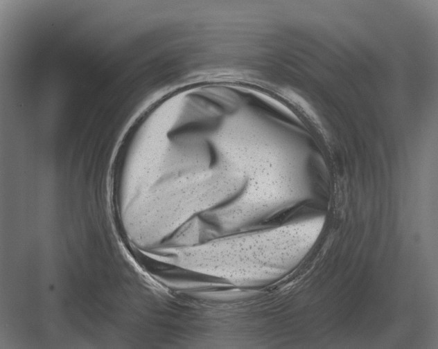 X0000082711424200702161804