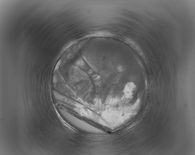 X0000082711425200702161804