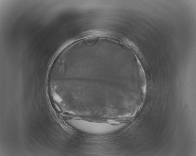 X0000082711427200702161804