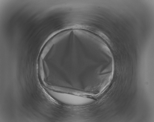 X0000082711428200702161804