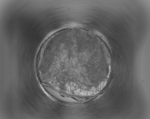 X0000082711429200702161804