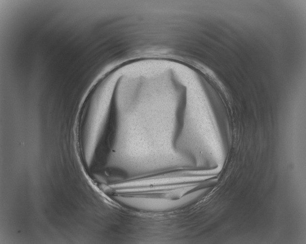 X0000082711432200702161804