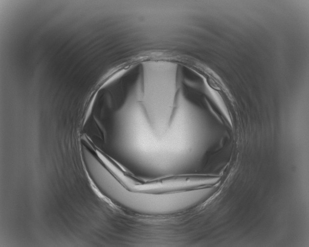 X0000082711433200702161804