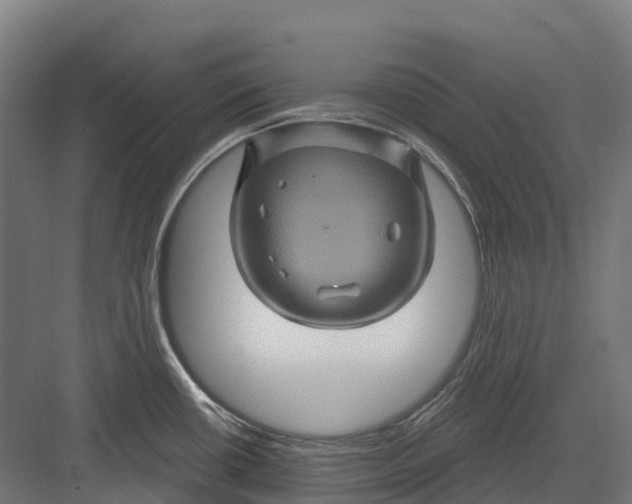 X0000082711434200702161804