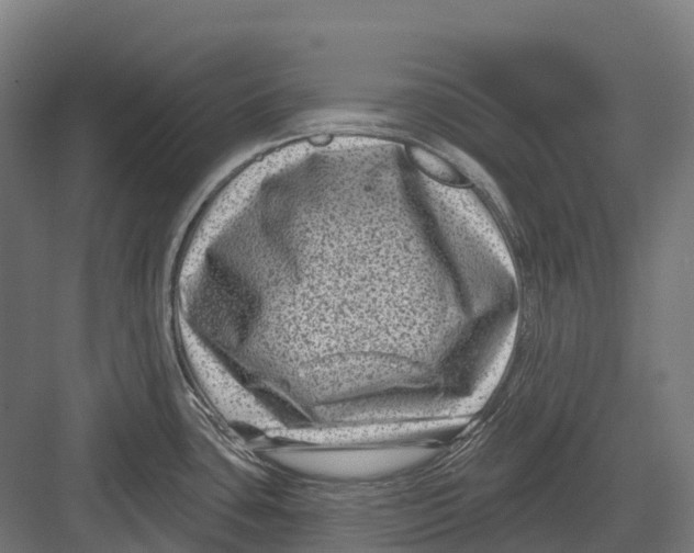 X0000082711435200702161804