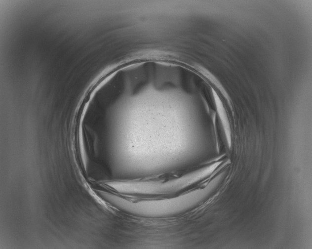 X0000082711437200702161804