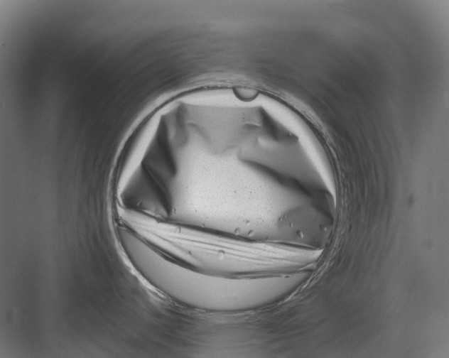 X0000082711440200702161804