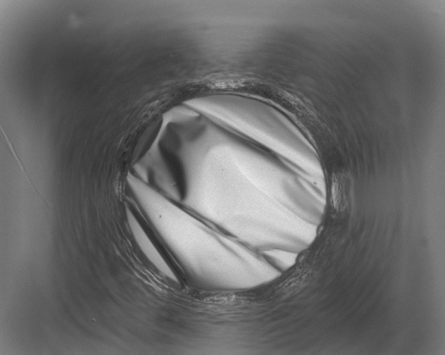 X0000082711444200702161803