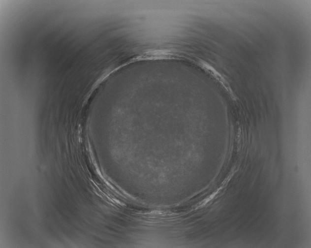 X0000082711449200702161803