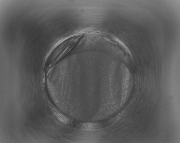 X0000082711461200702161803