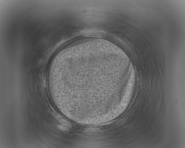 X0000082711462200702161803