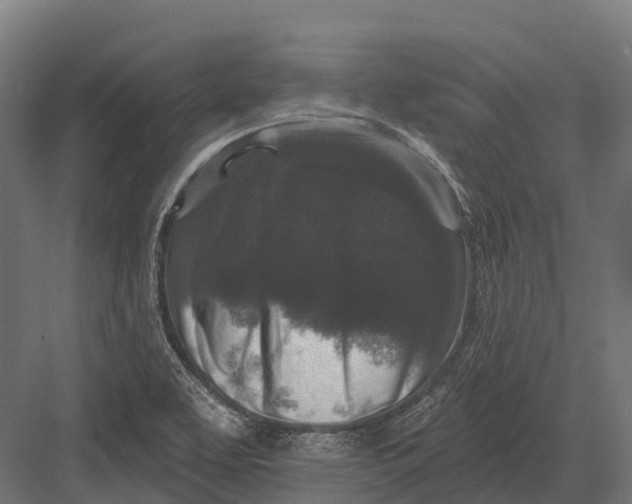 X0000082711463200702161803