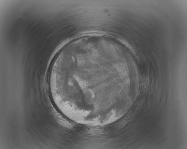 X0000082711466200702161803